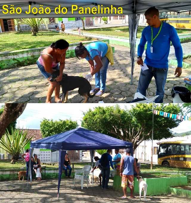 Vacinação